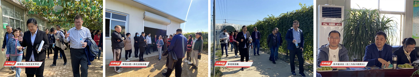 魯東大學(xué)生命科學(xué)院專家來志昌農(nóng)業(yè)考察交流(圖1)