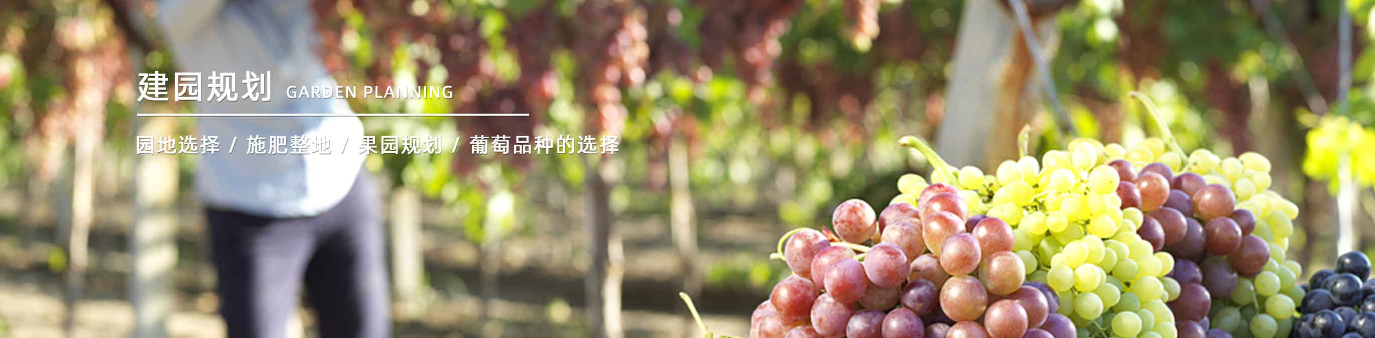 技術(shù)指導(dǎo)(圖1)