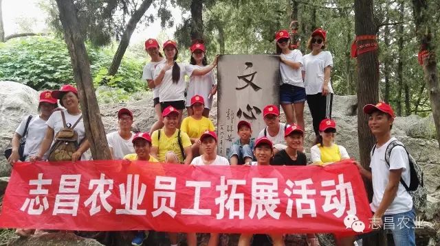 山東志昌農(nóng)業(yè)科技發(fā)展有限公司共青團舉辦戶外拓展活動(圖1)