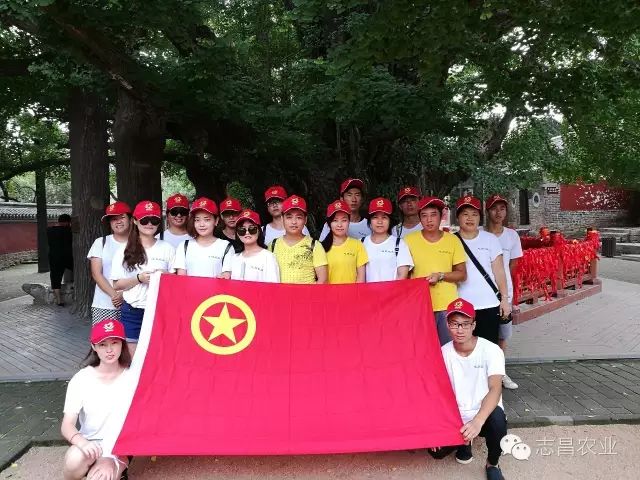 山東志昌農(nóng)業(yè)科技發(fā)展有限公司共青團舉辦戶外拓展活動(圖4)