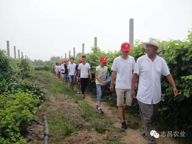 山東志昌農(nóng)業(yè)科技發(fā)展有限公司共青團舉辦戶外拓展活動(圖6)