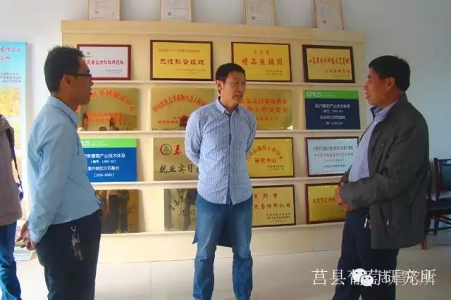 山東省民政廳到莒縣葡萄研究所調(diào)研指導(dǎo)工作(圖1)