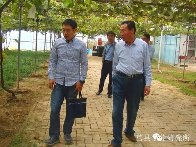 山東省民政廳到莒縣葡萄研究所調(diào)研指導(dǎo)工作(圖2)