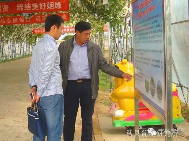 山東省民政廳到莒縣葡萄研究所調(diào)研指導(dǎo)工作(圖3)
