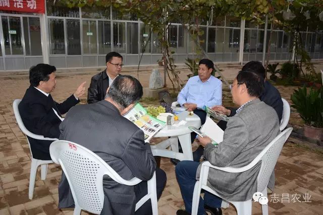 山東省供銷社領(lǐng)導(dǎo)到莒縣志昌果品專業(yè)合作社調(diào)研指導(dǎo)工作(圖2)