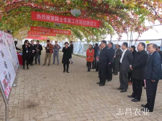 匯聚巾幗力量 助力精準(zhǔn)扶貧 --全市行業(yè)社會(huì)扶貧現(xiàn)場(chǎng)會(huì)在公司召開(kāi)(圖1)