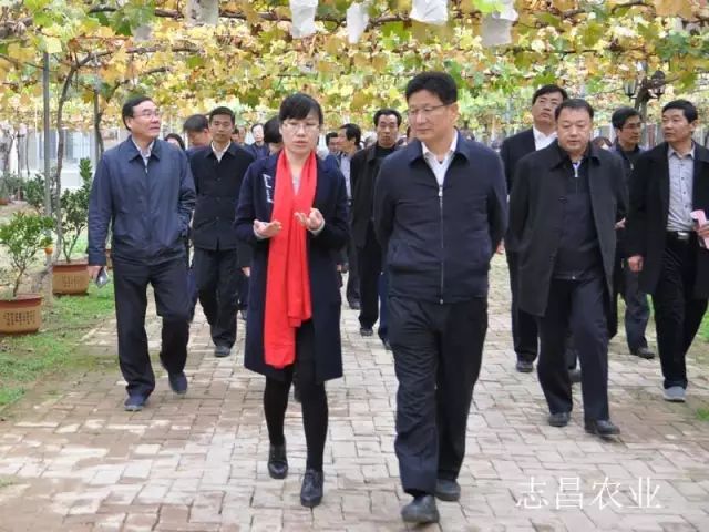 匯聚巾幗力量 助力精準(zhǔn)扶貧 --全市行業(yè)社會(huì)扶貧現(xiàn)場(chǎng)會(huì)在公司召開(kāi)(圖2)