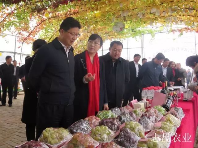 匯聚巾幗力量 助力精準(zhǔn)扶貧 --全市行業(yè)社會(huì)扶貧現(xiàn)場(chǎng)會(huì)在公司召開(kāi)(圖3)